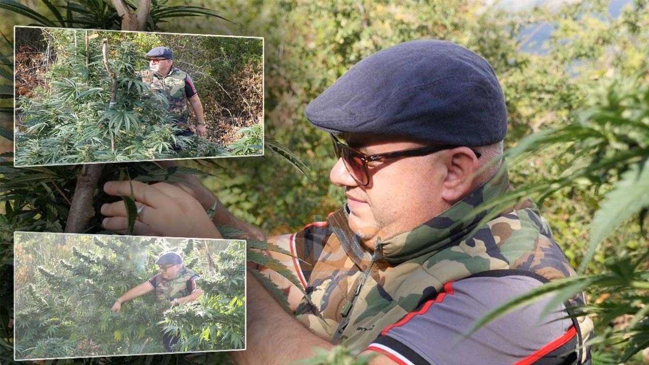 “Politikanët hajdutë po zihen se kush vodhi më shumë njëri-tjetrin”/Artan Hoxha: Sa të bëhet qeveria e re, çunat e kanë magazinuar drogën