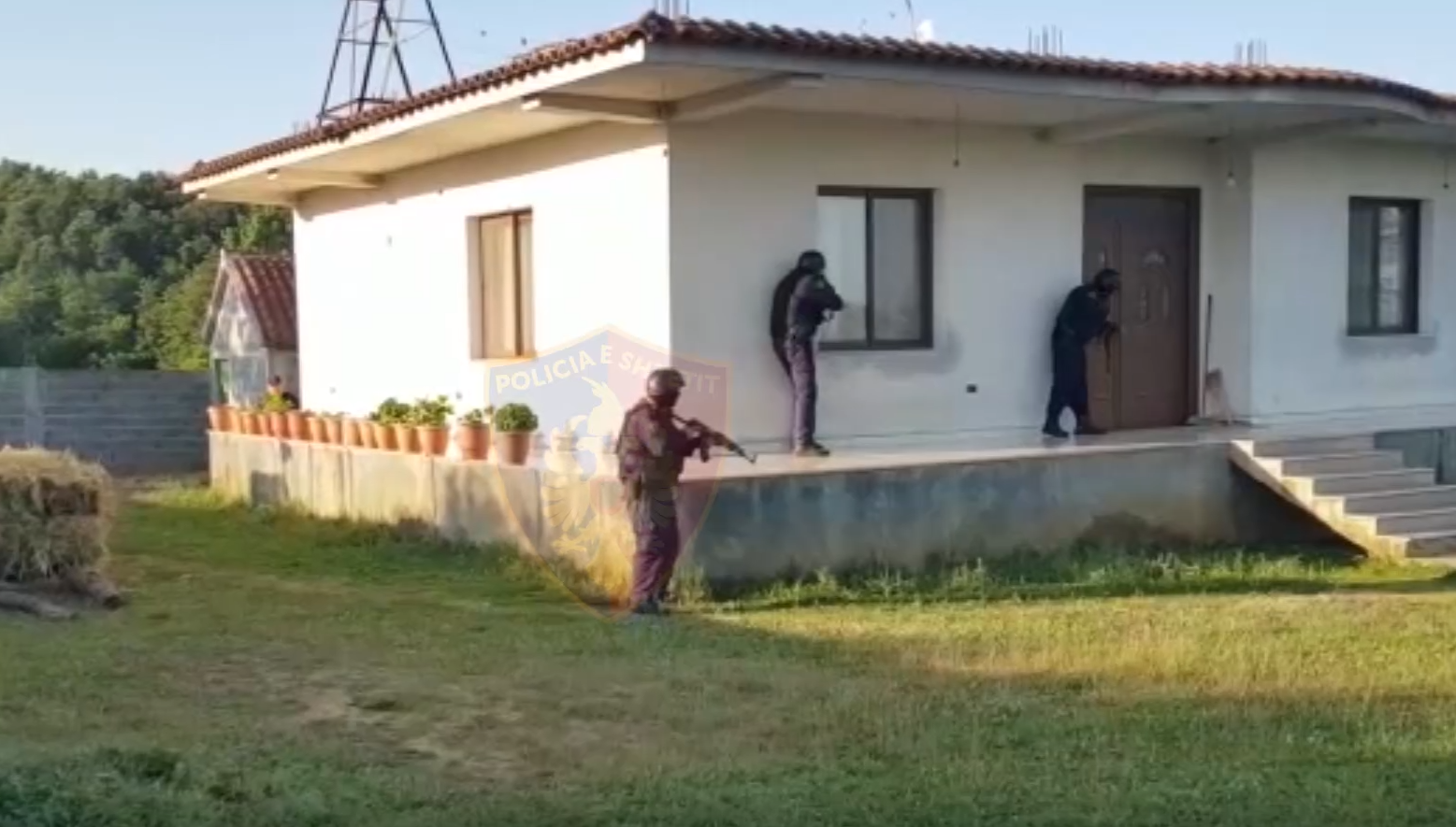 🔴VIDEO/Operacioni antikanabis në Krujë, gjykata cakton masat e sigurisë për 13 të arrestuarit (Emrat)