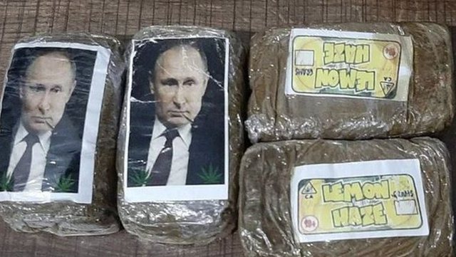 Putin i ‘zbukuron’ gati për ‘shpërndarje’/ Gjenden 323 pako hashashi me fytyrën e presidentit rus, befasohet policia