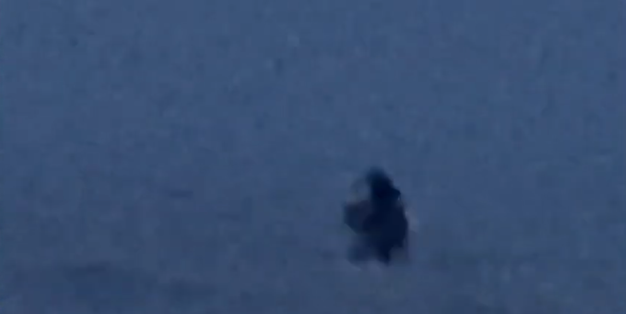 VIDEO e frikshme/Një person mbyt qenin si sakrificë për demonët në bregdetin shqiptar, eksperti jep alarmin