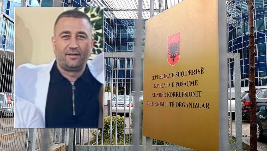 Gruaja që paditi “të paprekshmin” Pëllumb Gjoka/ Historia e 67-vjeçares nga Velipoja që kërkoi drejtësi në Malin e Zi